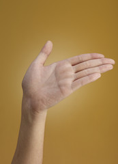 Female hand  isolated on brown background