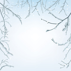 The branches of the snow