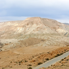 Desert landscape