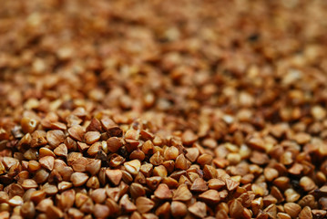 Buckwheat