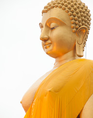 buddha statue