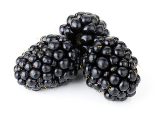 Ripe blackberry fruits