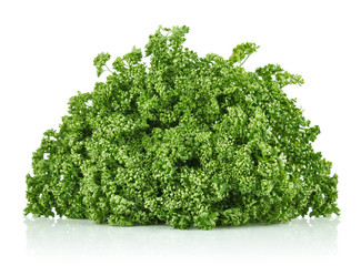 fresh frizzy parsley isolated on white background