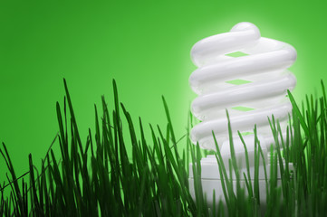 Energy saving compact fluorescent lightbulb