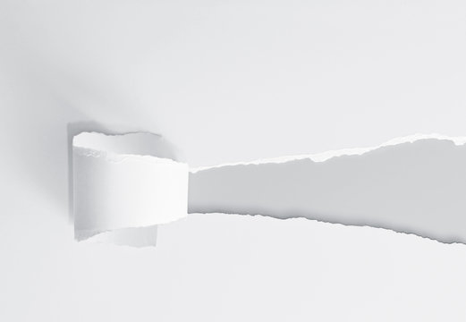 Aufriss - Papier