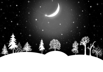 Winter christmas landscape in night with snow flakes