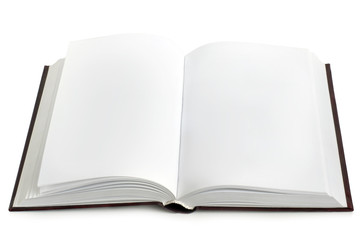 Opened book with blank pages