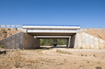 Fototapeta na wymiar Wildlife crossing at A-15 Motroway, Soria, Spain