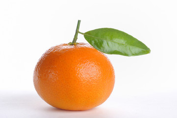 mandarine