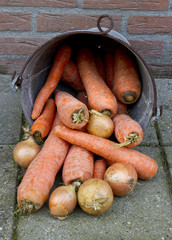 Carrots and onions in a zinc bucket.