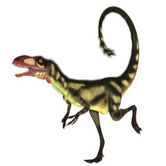 Dilong Dinosaur01
