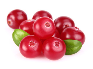 Sweet cranberry with leaves
