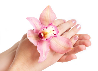 Fototapeta na wymiar Female hands with orchid