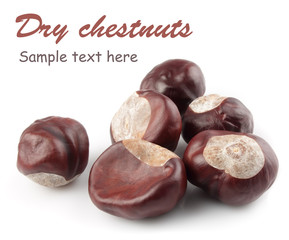 Dry chestnut