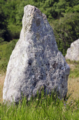 Standing stones at Carnac in France