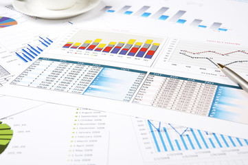 Fototapeta premium charts of growth, paperworks