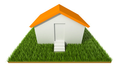 3D House on grass