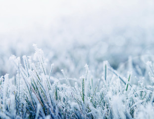 Winter background, morning frost on the grass with copy space