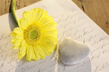 Steinherz mit gelber Blume