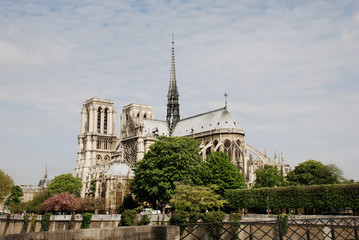 Fototapeta na wymiar Notre Dame de Paris, Notre Dame Cathedral