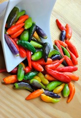 Peperoncini di vari colori