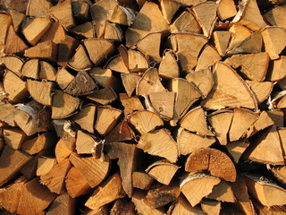 Background: pile of wood, illuminated by the setting sun