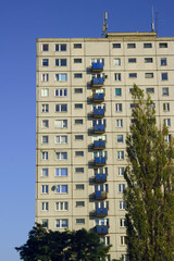 drzewo i fasada wieżowca mieszkalnego, Poznań © GKor