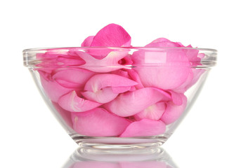 beautiful pink rose petals in glass bowl isolated on white