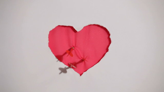Red heart on the white background. HD