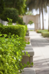 Fototapeta premium Green walkway in Dubai Marina