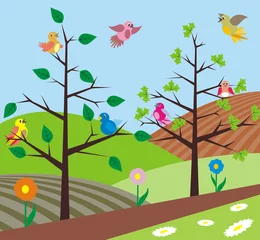 Zelfklevend Fotobehang lente - vogels zingen © ottoflick