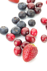 mixed berries on white