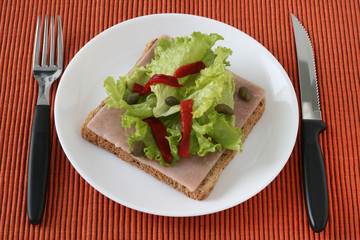 Fototapeta na wymiar toast with ham and lettuce