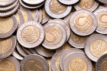 Polish 5 pln coins background.