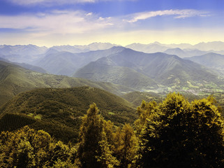 pyrenees