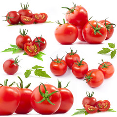 Tomatos collection
