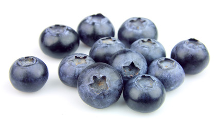 Wood berries of a bilberry