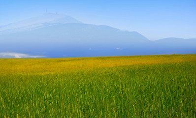 Fototapeta premium orge et ventoux