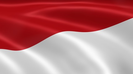 Fototapeta na wymiar Indonesian flag in the wind