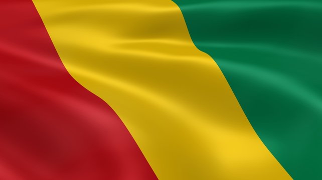 Guinean flag in the wind