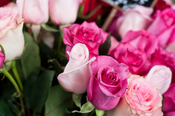 roses chez le fleuriste