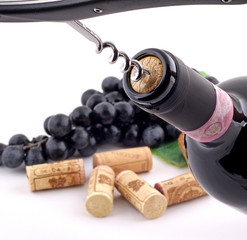 Wein