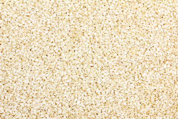 Close yp of white Sesame seeds for background