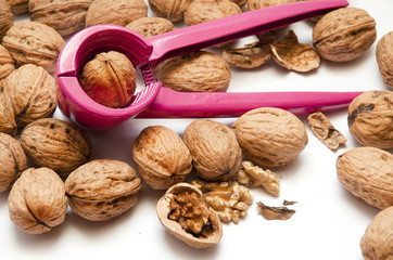 NOCI CON SCHIACCIANOCI FUCSIA