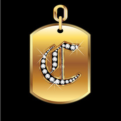 A medal in gold and diamonds vector