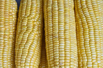 Sweet Corn
