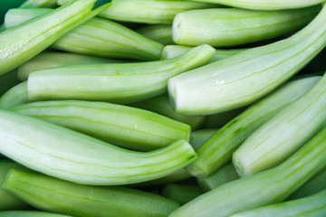 cucumber