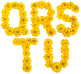 Floral alphabet. q, r, s, t, u