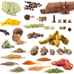 Spices and herbs Collection