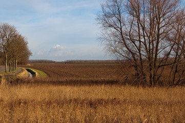 Autumnal landscape with a plowed field and bare trees.